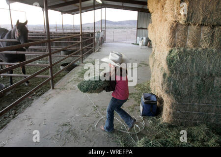 Szenen des Ranch-Lebens in Westtexas Stockfoto