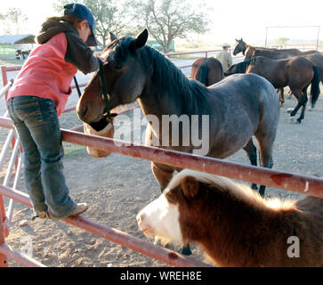 Szenen des Ranch-Lebens in Westtexas Stockfoto