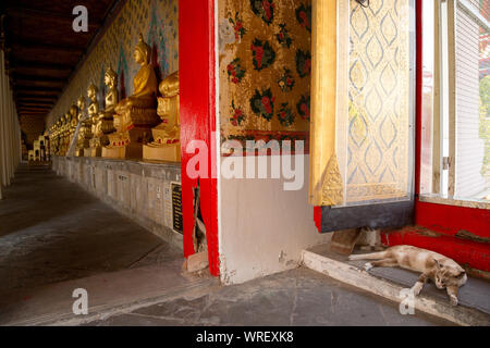 Bangkok, Thailand, 25. März 2017 Reihe der goldene Buddha Statue im Wat Arun, Bangkok Thailand. Wahrzeichen von Thailand und Asien. Stockfoto