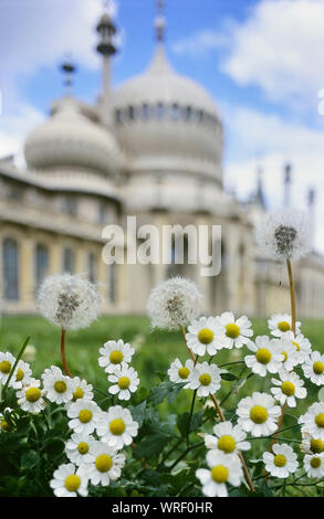 Royal Pavilion, Brighton, East Sussex, England, Großbritannien Stockfoto