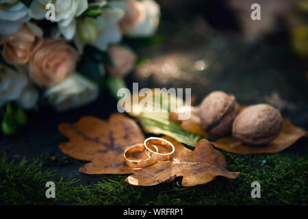 Trauringe auf eine orange Herbst Eichenlaub. Konzept der Herbst Hochzeit Stockfoto