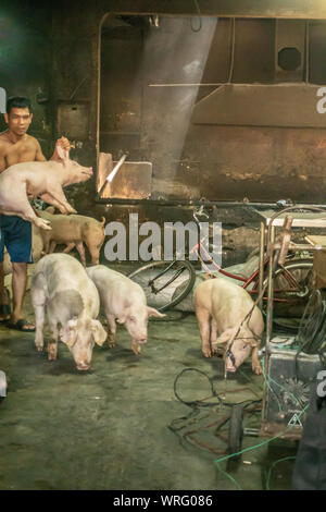 Manila, Philippinen - 5. März 2019: Calavite Straße in Salvacion Teil der Stadt. Mann fängt Ferkel zu schlachten und Braten am Spieß, genannt Lechon Baboy Stockfoto