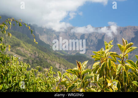 Blick auf den Eingang zur Schlucht der Caldera de Taburiente auf La Palma, Spanien. Stockfoto