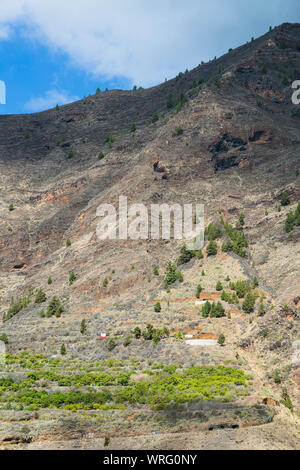 Blick auf die steilen Wände der Eingang Canyon auf die Caldera de Taburiente auf La Palma, Spanien. Stockfoto