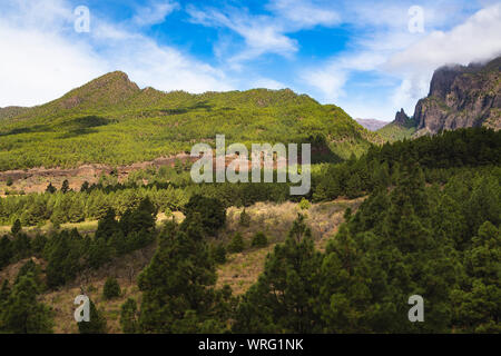 Aussicht aus dem Tal zu La Cumbrecita in La Palma, Spanien. Stockfoto