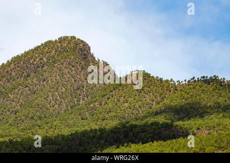 Aussicht aus dem Tal zu La Cumbrecita in La Palma, Spanien mit dem Pico Bejenado. Stockfoto