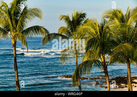 Palmen mit Blick auf den Pazifischen Ozean auf der Insel Kauai, Hawaii, USA Stockfoto