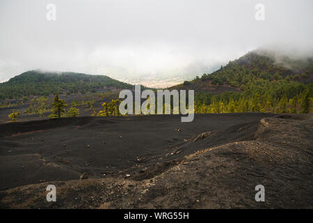 Tradewind Wolken und Regen durch die Lava Bergen mit Kiefern von La Palma in der Nähe des Mirador Llano del Jable im Zentrum der Insel. Stockfoto