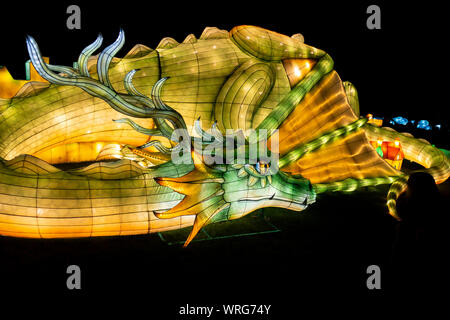 Mythischen Drachen, Teil der riesigen Laternen von China, Mythen und Legenden im Zoo von Edinburgh, Schottland, Großbritannien Stockfoto