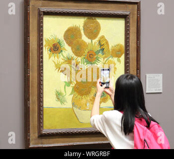 Junge Frau ein Foto von Vincent van Goghs Sonnenblumen mit Ihrem Smartphone an der National Gallery, London, UK Stockfoto