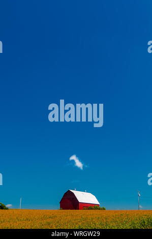 Rote Scheune hinter einem Kornfeld in Upstate New York, USA Stockfoto
