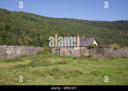 Stone Cottage, Steinmauer und Wald im Wye Valley in Tintern Stockfoto