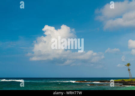 Palmen mit Blick auf den Pazifischen Ozean auf der Insel Kauai, Hawaii, USA Stockfoto