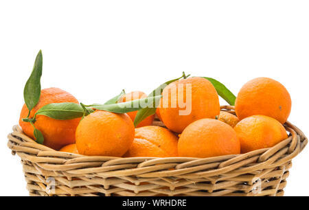 Orangen und Mandarinen in Korb auf weißem Hintergrund. Close Up. Stockfoto