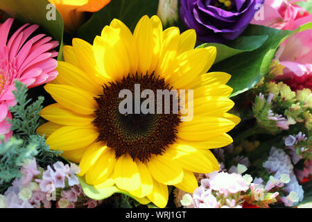 Bunt gemischten Strauß mit Sonnenblumen Nahaufnahme Stockfoto