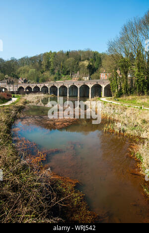 Das Eisenbahnviadukt überquert den Upper Furnace Pool bei Coalbrookdale in Shropshire (Portraitansicht) mit rotrostigem Wasser Stockfoto