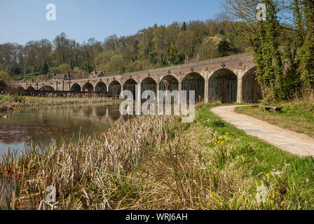 Das Eisenbahnviadukt überquert den Upper Furnace Pool bei Coalbrookdale in Shropshire mit Schilf im Vordergrund Stockfoto