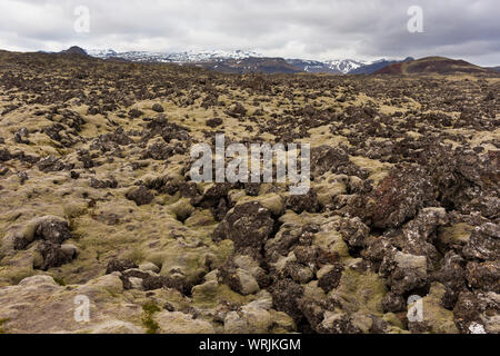 Halbinsel Snaefellsnes, ISLAND - Lavafeld. Stockfoto