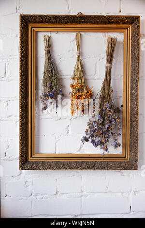 Drei getrocknete Wildblumen in einem alten Rahmen gegen weiße Mauer, selektiver Fokus Stockfoto