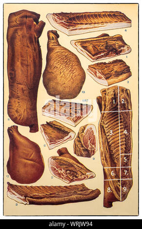 Neueste Techniken Kochen und Zubereiten von Anfang der 1930er Jahre in Mrs Beeton's 'Alles über Kochen' 1930er Edition. Speck und Schinken Zubereitung: 1. Forelock; 2. Kragen; 3. Streifige; 4. Prime zurück; 5. Kleine Zurück; 6. Flanke; 7. Lange Zurück; 8. Gammon; 9. Ecke; 10. York Ham; 11. Seite Speck; 12. Milden Schinken. Stockfoto