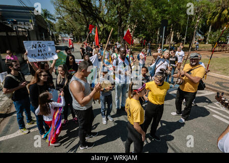 Menge in den Straßen marschieren für Amazonien und weniger Pestizide in einem pro Umwelt Protest während der brasilianischen Unabhängigkeitstag Stockfoto