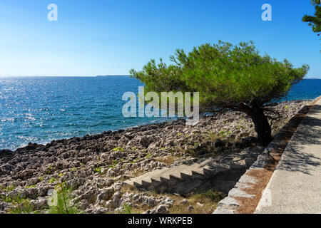 Cikat forest park Strand Promenade mit Bäumen und Treppen in das blaue Meer Stockfoto