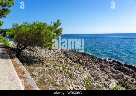 Cikat forest park Strand Gehweg mit einem Baum durch den Wind geblasen Stockfoto