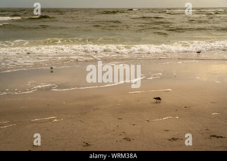 Die Wunderbare glatte Sand von Treasure Island Beach Florida. Stockfoto