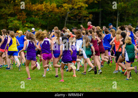 THETFORD CENTER, VT, USA - OKTOBER 4, 2014: Der Anfang des 24. jährlichen Thetford Akademie Holz schleppen, Mädchen der mittleren Schule. Stockfoto