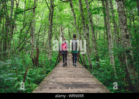 Mutter und Tochter wandern auf einem Wald Holz- Trail Stockfoto