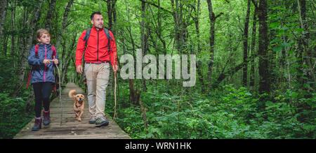 Vater und Tochter mit kleinen gelben Hund wandern auf einem Wald Holz- Trail Stockfoto