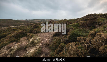 Wanderweg auf einer Klippe entlang dem Meer in Howth, Irland Stockfoto