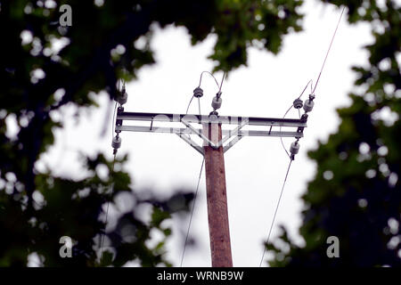 Elektrische Eiche, Wickwar Stockfoto