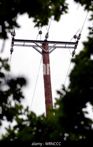 Elektrische Eiche, Wickwar Stockfoto