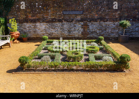 Eibe Knot Garden in der Physic Garden, ein botanischer Garten für die Öffentlichkeit zugänglich in Petersfield, Hampshire, Südengland, Großbritannien Stockfoto