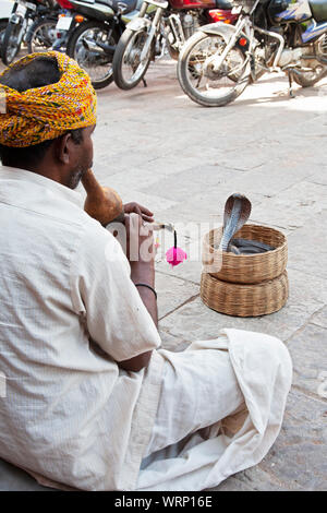 Rajasthan, Indien, September 4, 2019 Hindu Schlangenbeschwörer intertaining Tourist in den Straßen von Rajasthan Jaipur Indien Stockfoto