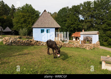 ASTRA Nationalmuseum komplexe Muzeul Civilizației Tradiționale Populare ASTRA Stockfoto