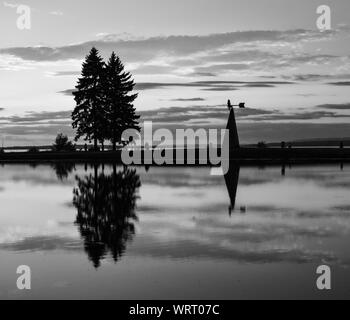 Sonnenuntergang in Andrew Haydon Park Stockfoto