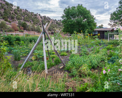 Jarvie Garten, John jarvie Historisches Anwesen, Braun Park, Utah. Stockfoto