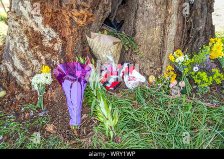 Bungaree, Victoria, Australien - 11 September 2019-Tribute in für AFL Footy legende Danny's Pud'Frawley am Bildschirm von seinem Absturz. Trauernde haben Tribute zu den ehemaligen AFL Spieler und Kommentator an der sceen, wo er mit einem Baum am Montag Nachmittag (9. September 2019) in der Nähe seiner geliebten Heimat und Familie Kartoffel farm colided Links. Victoria Polizei am Dienstag kündigte die tödlicher Absturz nicht als verdächtig behandelt werden. Das AFL Tribut zu Frawley mit einem Moment der Stille, bevor jeder der an diesem Wochenende im Halbfinale. Bild Brett Keating - alamy Leben Nachrichten. Stockfoto