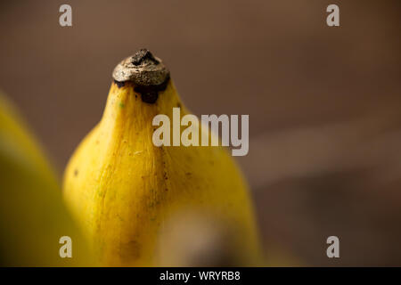 Gelbe Banane Textur, Close Up & Makroaufnahme, abstrakten Hintergrund, Thai Früchte Stockfoto