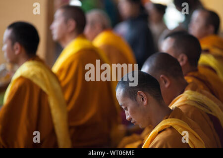 Ein tibetisch-buddhistischer Mönch tief in während einer Zeremonie in Dharamsala, der Hauptstadt der Tibeter im Exil, Indien gedacht. Stockfoto