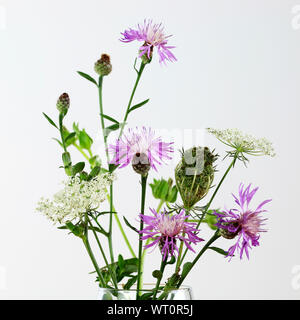 Schönen Blumenstrauß von wilden Blumen, auf weißem Hintergrund Stockfoto
