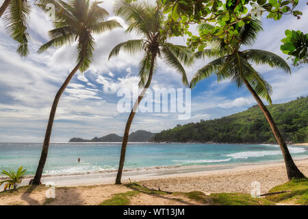 Palmen auf exotischen Strand bei Sonnenuntergang mit weißem Sand und tropische Meer auf Paradise Island. Stockfoto