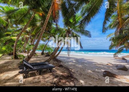 Exotischen Strand mit Strandliegen, weißen Sand und tropische Meer auf Paradise Island. Stockfoto