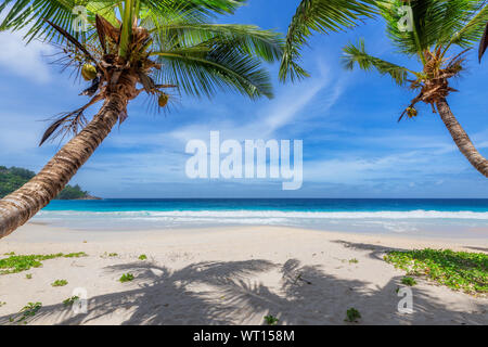 Exotischen Strand mit weißem Sand und tropische Meer auf Paradise Island. Stockfoto