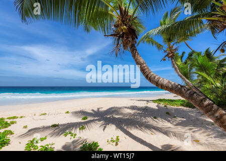 Exotischen Strand mit weißem Sand und tropische Meer auf Paradise Island. Stockfoto