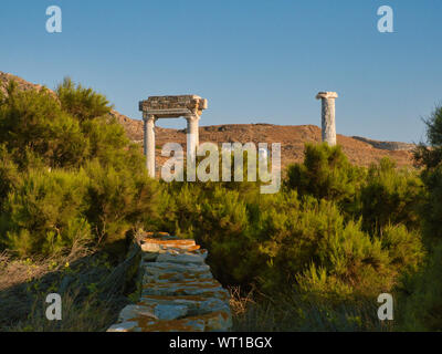 Wunderschöne Landschaft mit grünen Bäumen und Säulen blieb von der antiken Stadt auf Delos in Griechenland an einem sonnigen Tag Stockfoto