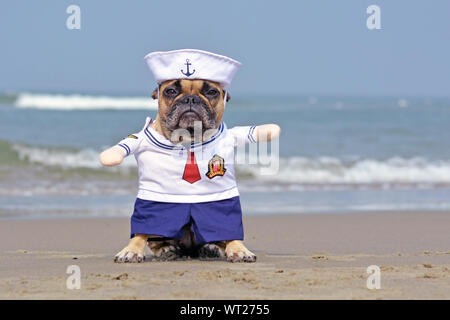 Lustige Französische Bulldogge gekleidet mit einem niedlichen sailor Hund Halloween Kostüm am Strand mit Blick auf das Meer im Hintergrund Stockfoto