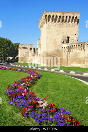 Blumenbeet vor einem Turm der Stadtmauer von Avignon. Stockfoto